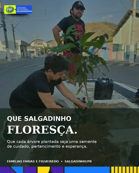 Plantar hoje, cuidar do amanhã
