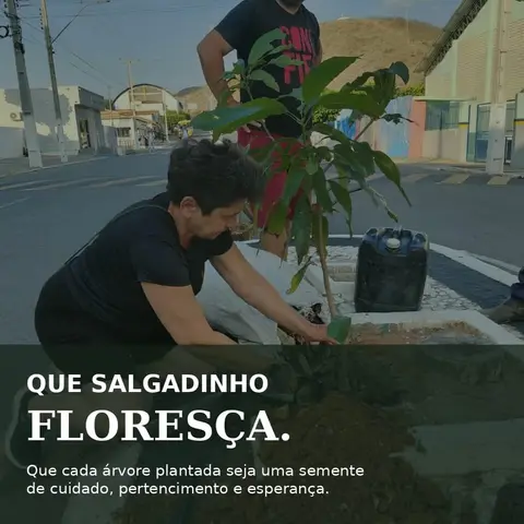 Plantar hoje, cuidar do amanhã