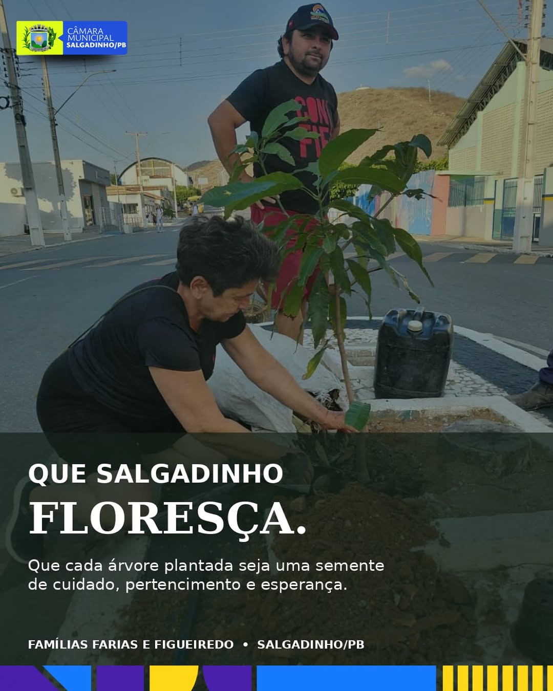 Plantar hoje, cuidar do amanhã