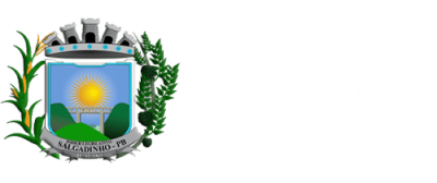CamaraSalgadinho2
